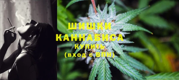 ПСИЛОЦИБИНОВЫЕ ГРИБЫ Гусиноозёрск