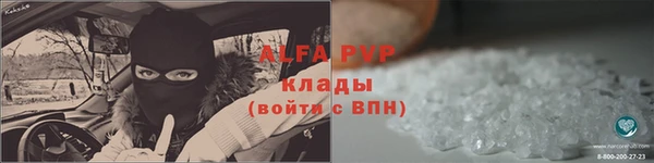ПСИЛОЦИБИНОВЫЕ ГРИБЫ Гусиноозёрск