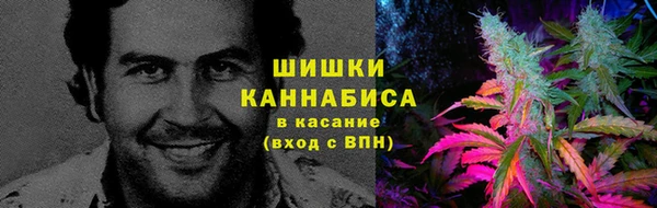 ПСИЛОЦИБИНОВЫЕ ГРИБЫ Гусиноозёрск