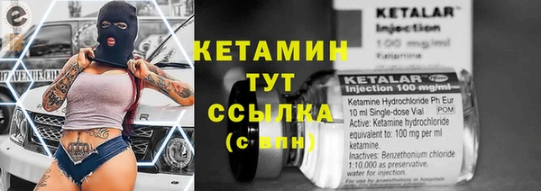 ПСИЛОЦИБИНОВЫЕ ГРИБЫ Гусиноозёрск