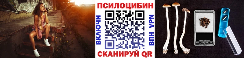 Купить где  Нея  Псилоцибиновые грибы GOLDEN TEACHER 